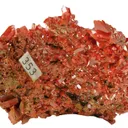 Crocoite (Rare Crystal Habit) - image 4