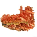 Crocoite (rough and cut set) - image 3