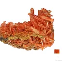 Crocoite (rough and cut set) - image 1
