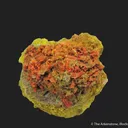 Crocoite w/Embreyite & Vauquelinite - image 2