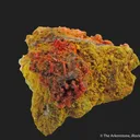 Crocoite w/Embreyite & Vauquelinite - image 4