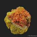 Crocoite w/Embreyite & Vauquelinite - image 6
