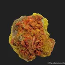 Crocoite w/Embreyite & Vauquelinite - image 3