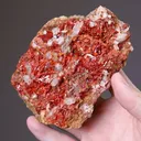 Crocoite with Calcite - image 2