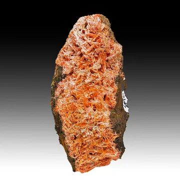Crocoite with Gibbsite