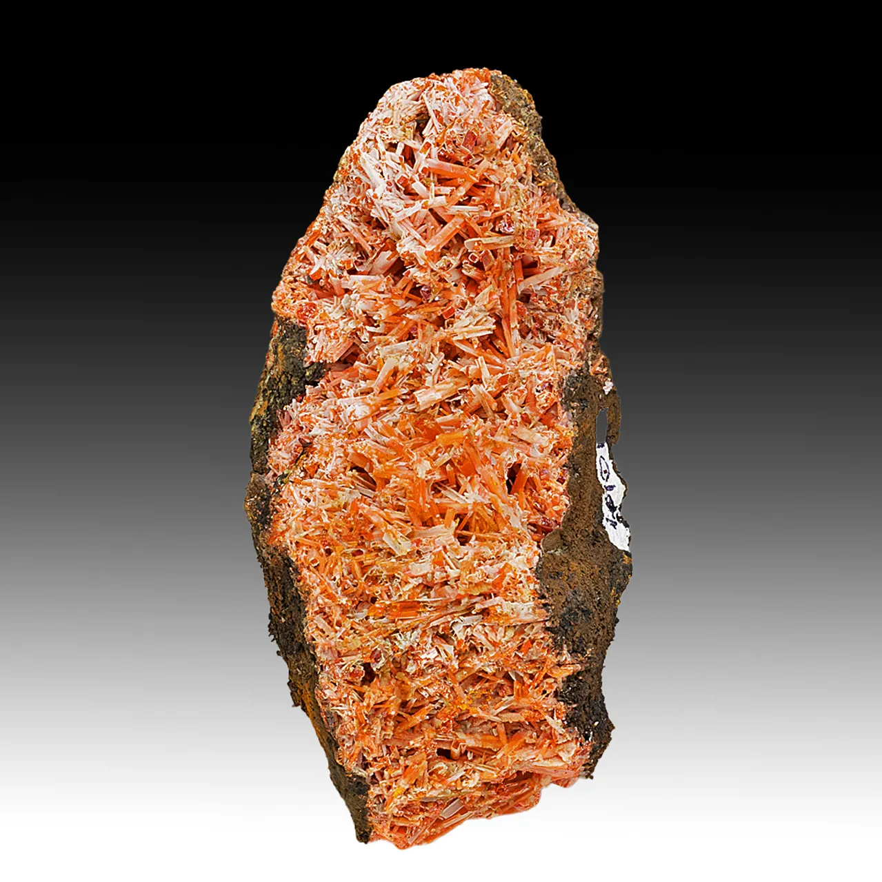 Crocoite with Gibbsite - image 1