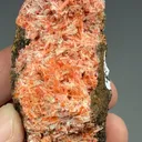 Crocoite with Gibbsite - image 2