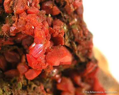 Crocoite With Pyromorphite - image 2