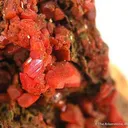Crocoite With Pyromorphite - image 2