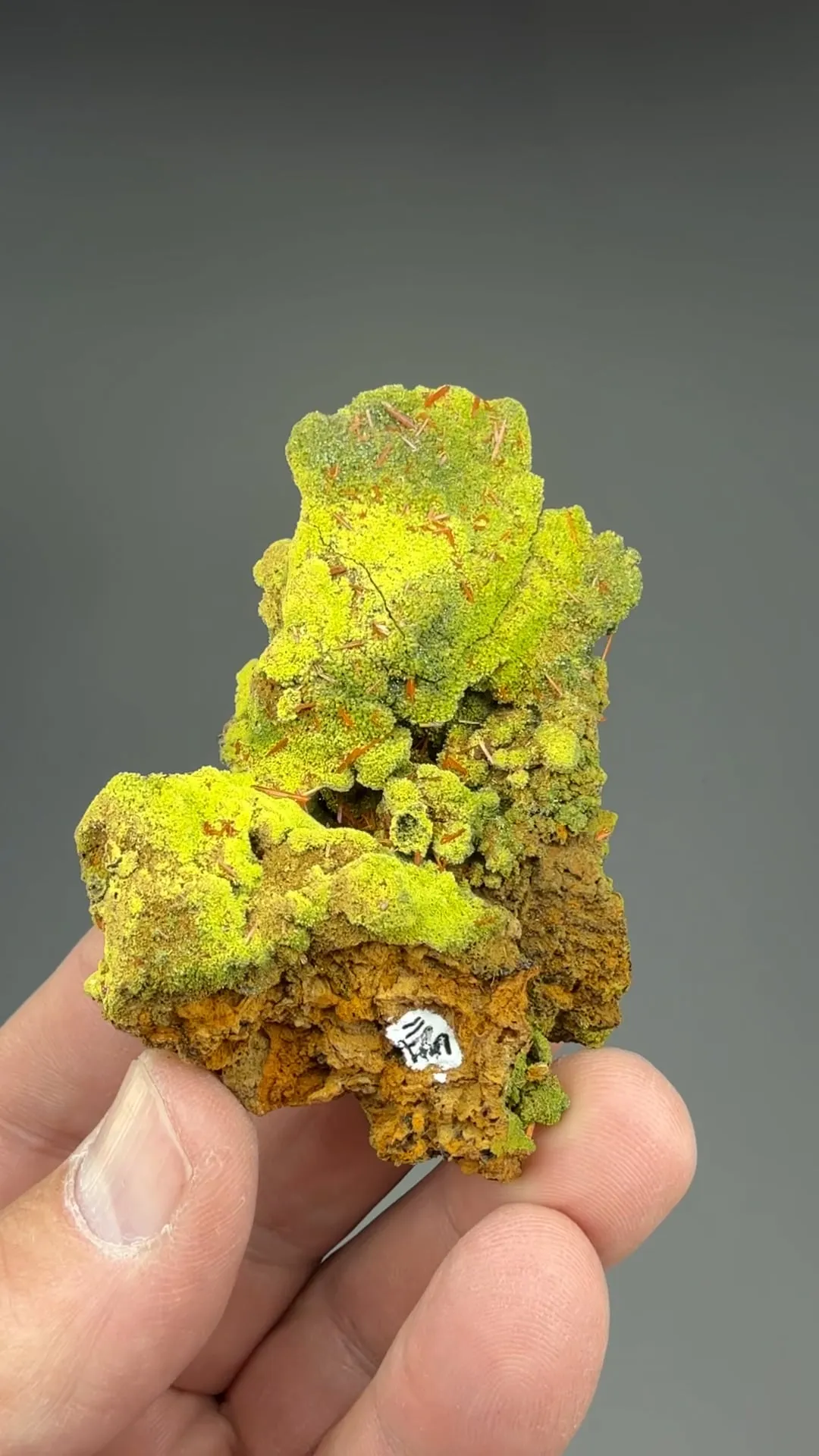 Crocoite with Pyromorphite - image 2