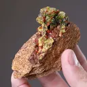 Crocoite with Pyromorphite - image 2