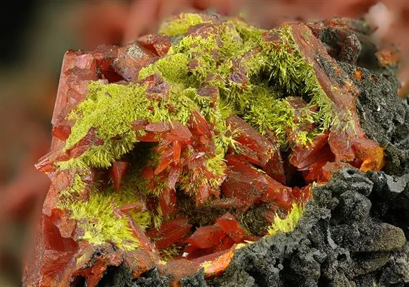 Crocoite with Pyromorphite and VAUQUELINITE image