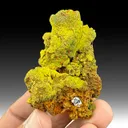 Crocoite with Pyromorphite - image 1