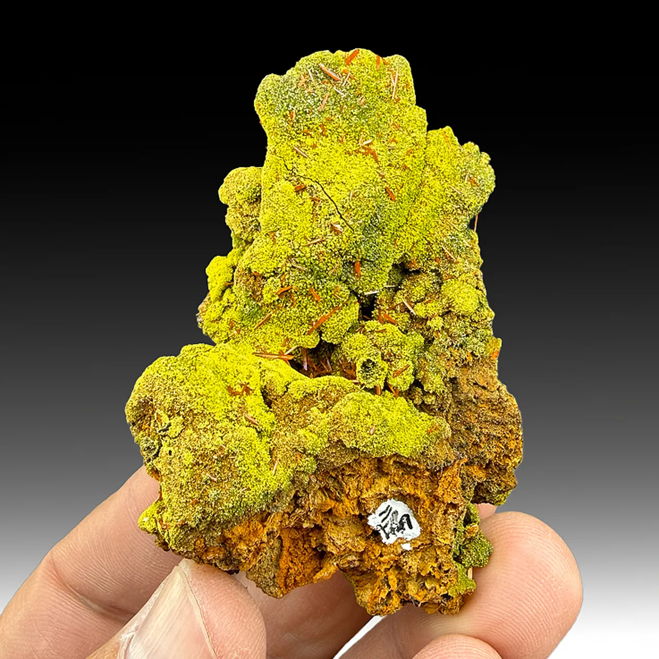 Crocoite with Pyromorphite - image 1