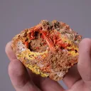 Crocoite with VAUQUELINITE - image 2