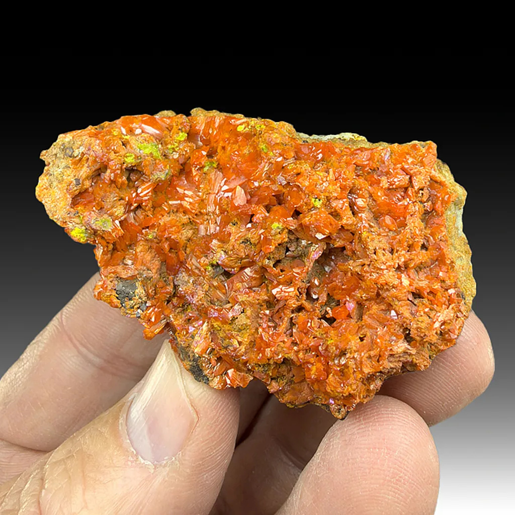 Crocoite with Vauquelinite image