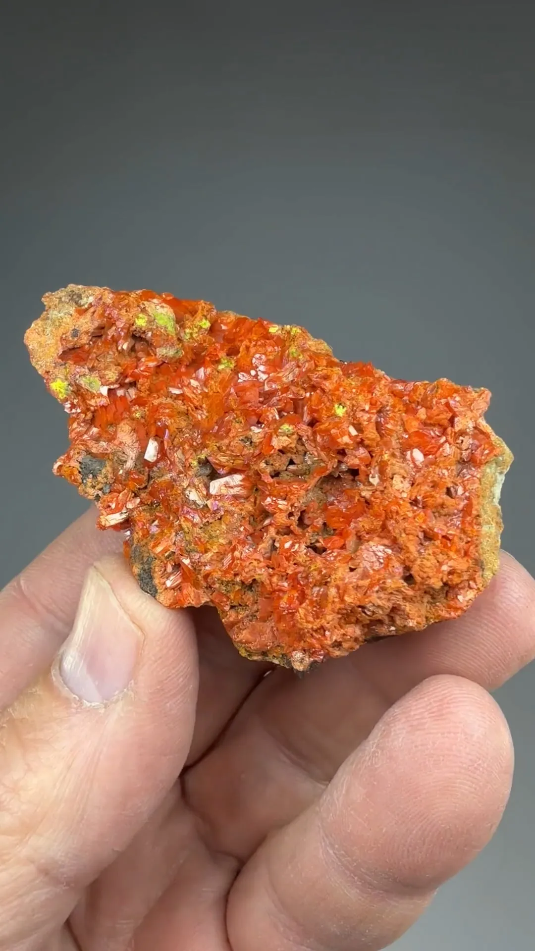 Crocoite with Vauquelinite - image 2