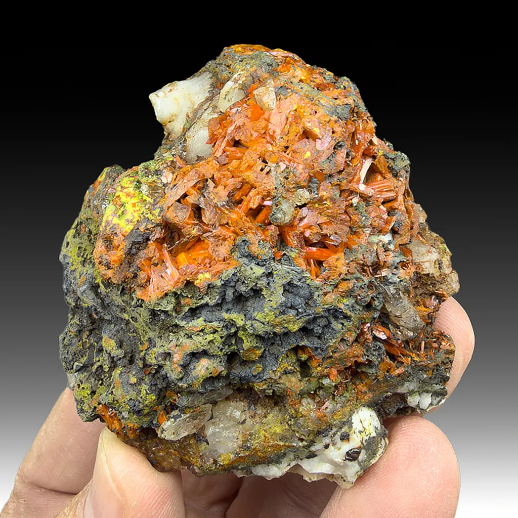 Crocoite with Vauquelinite, Quartz image