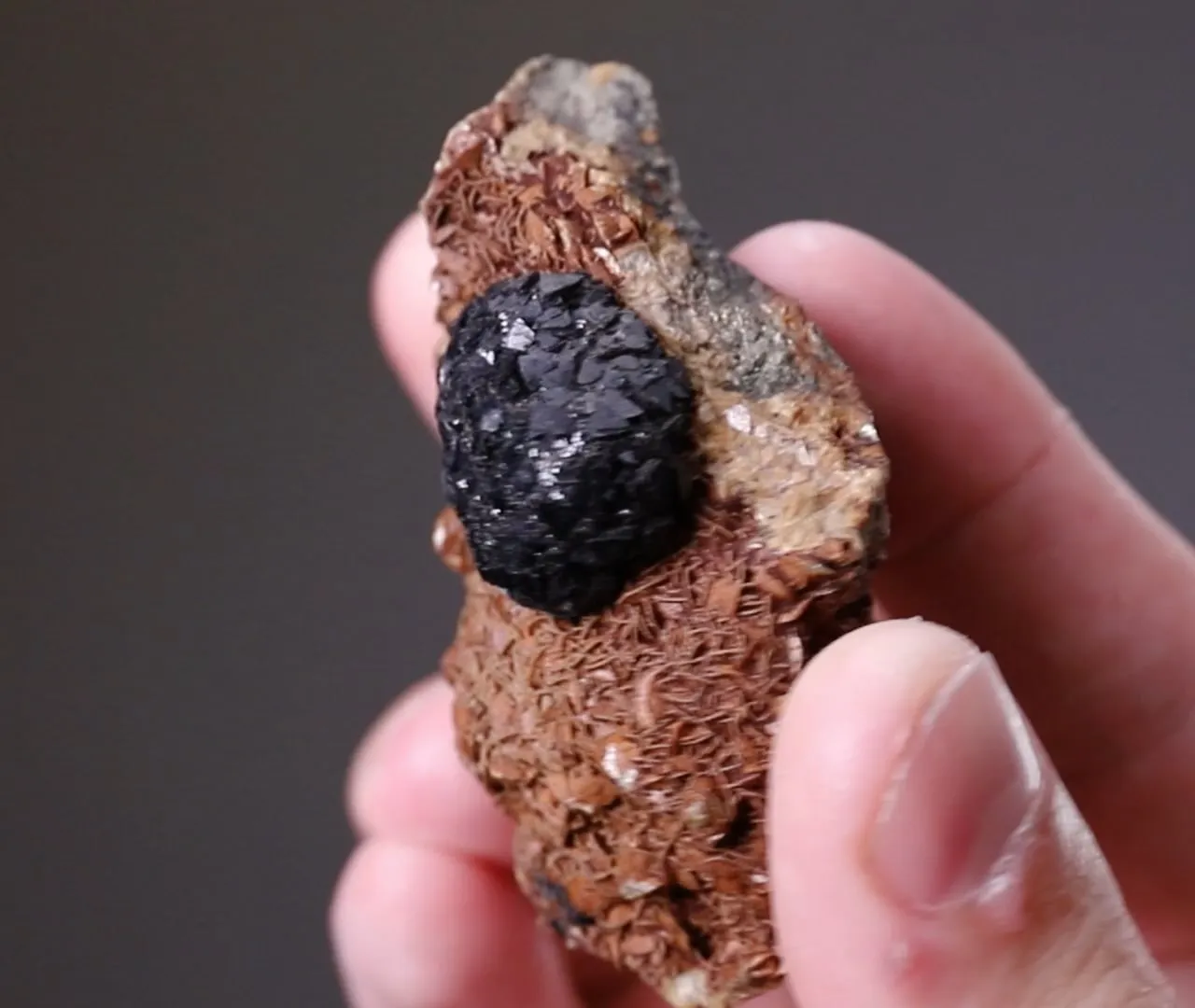 Cronstedtite on Siderite - image 2