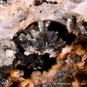 Cronstedtite with Dolomite, Calcite, and Pyrite - image 1