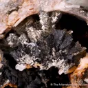 Cronstedtite with Dolomite, Calcite, and Pyrite - image 5