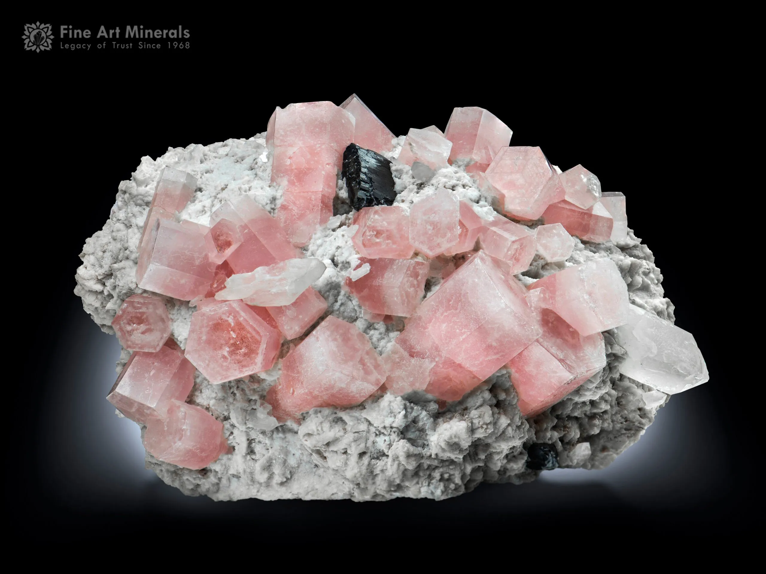 Crown of Roundu Morganite with Tantalite on Feldspar - image 1