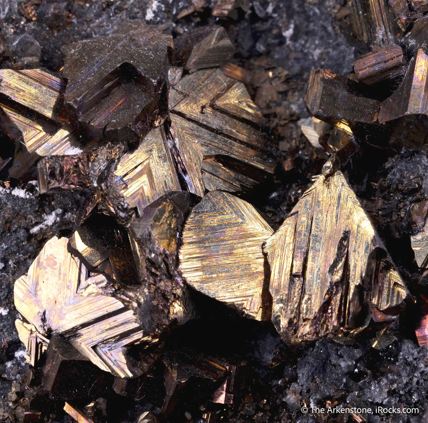 Cubanite on Chalcopyrite - image 3