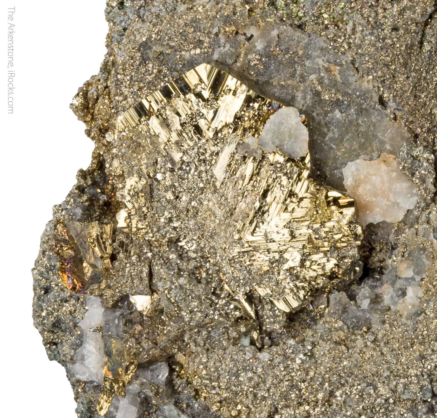 Cubanite with Pyrite - image 1