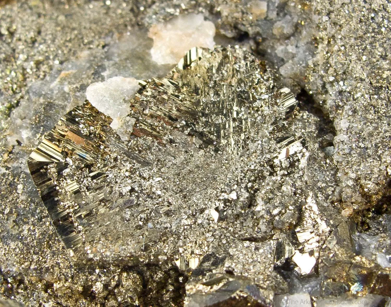 Cubanite with Pyrite - image 3