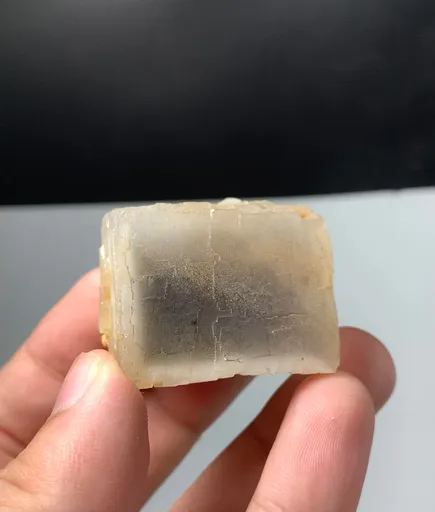specimen video