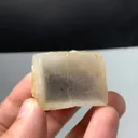 specimen video