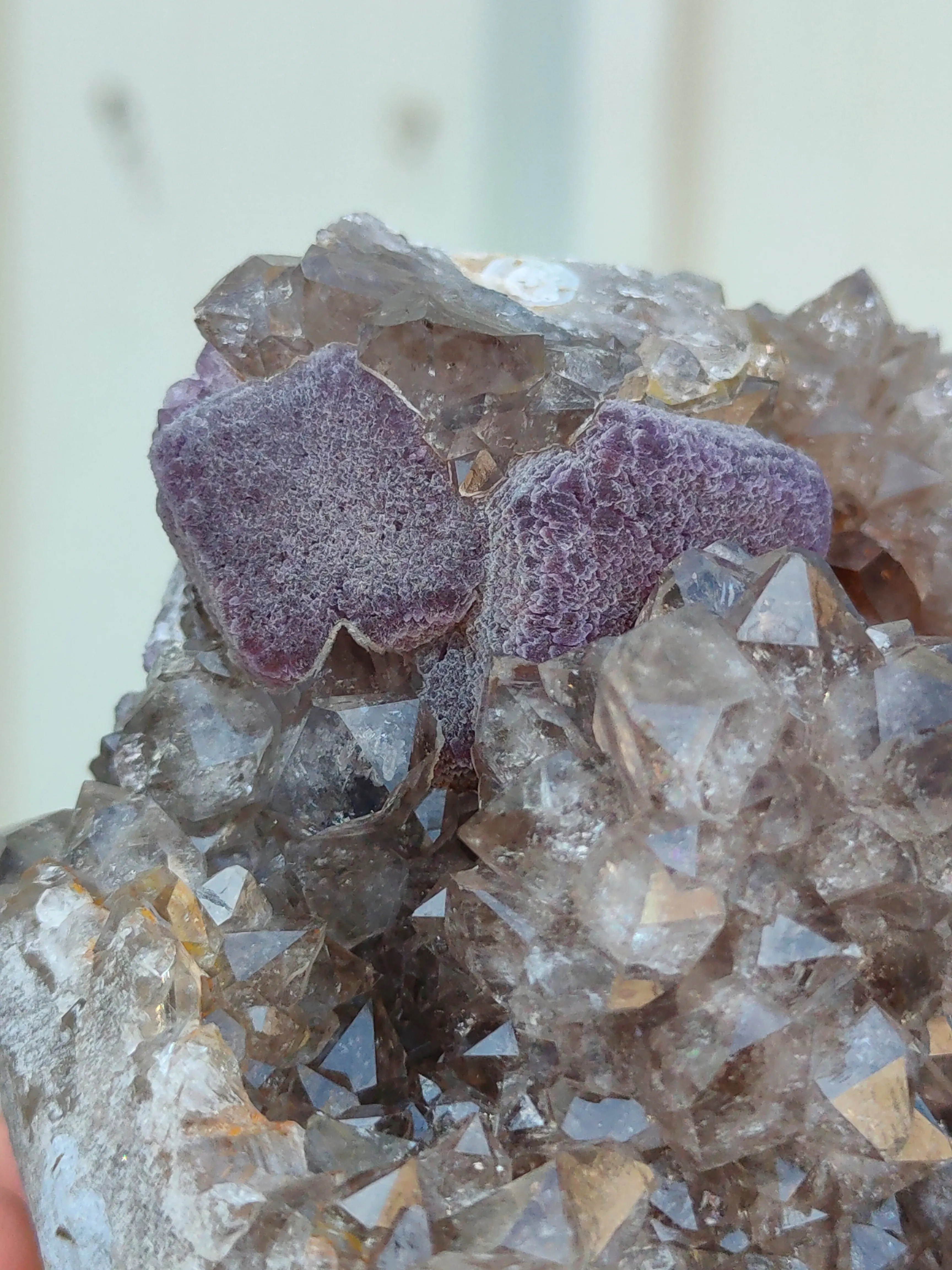 Cubic Purple Fluorite On Smoky Quartz - image 2