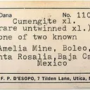 Cumengeite - image 3