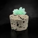 Cupcake Green Apophyllite on Basalt - image 1