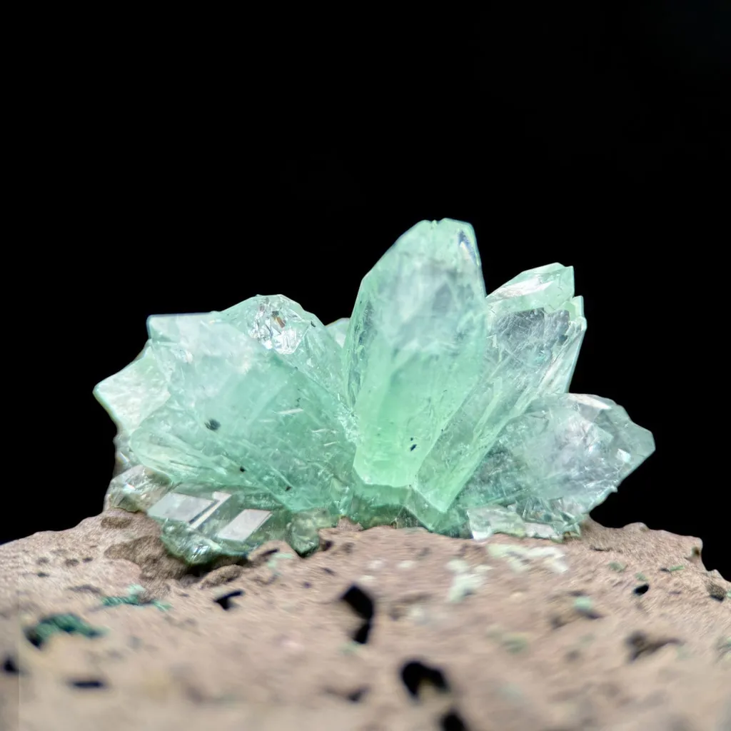 Cupcake Green Apophyllite on Basalt - image 2