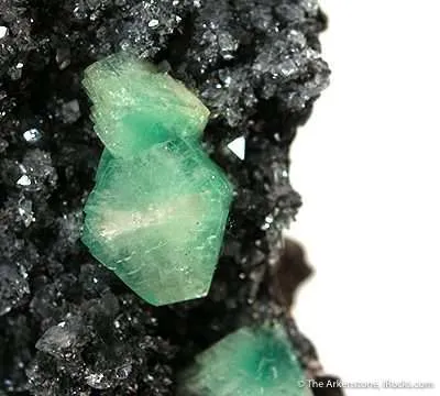 Cuprian Adamite - image 2