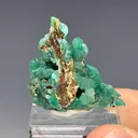 Cuprian Adamite - image 1