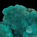 Cuprian Adamite - image 2