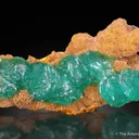 Cuprian Adamite - image 4