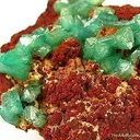 Cuprian Adamite - image 2
