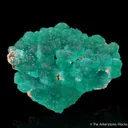 Cuprian Adamite - image 1