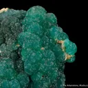 Cuprian Adamite - image 1