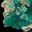 Cuprian Adamite - image 3