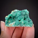 Cuprian Adamite - image 2