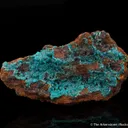 Cuprian Adamite - image 5