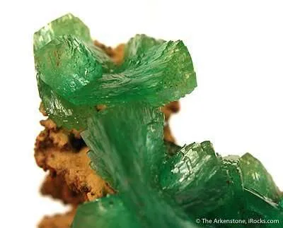 Cuprian Adamite - image 2
