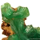 Cuprian Adamite - image 2
