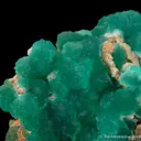 Cuprian Adamite - image 1