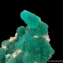Cuprian Adamite - image 3