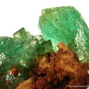 Cuprian Adamite - image 2